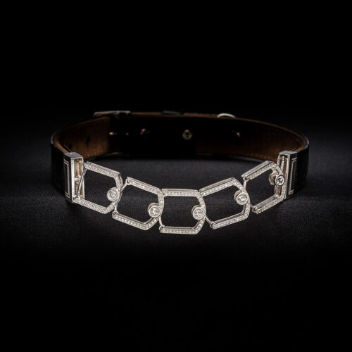 Saxifraga Umbrosa collar
