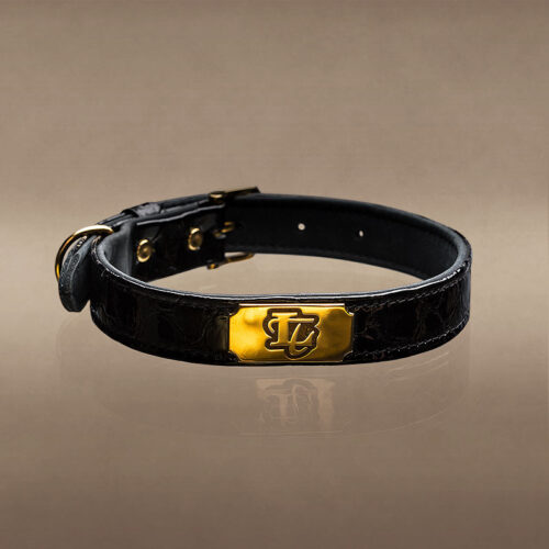 ALESSIA GOLD PLATE DOG COLLAR