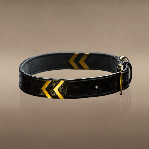 ALESSIA SERGEANT EDITION DOG COLLAR